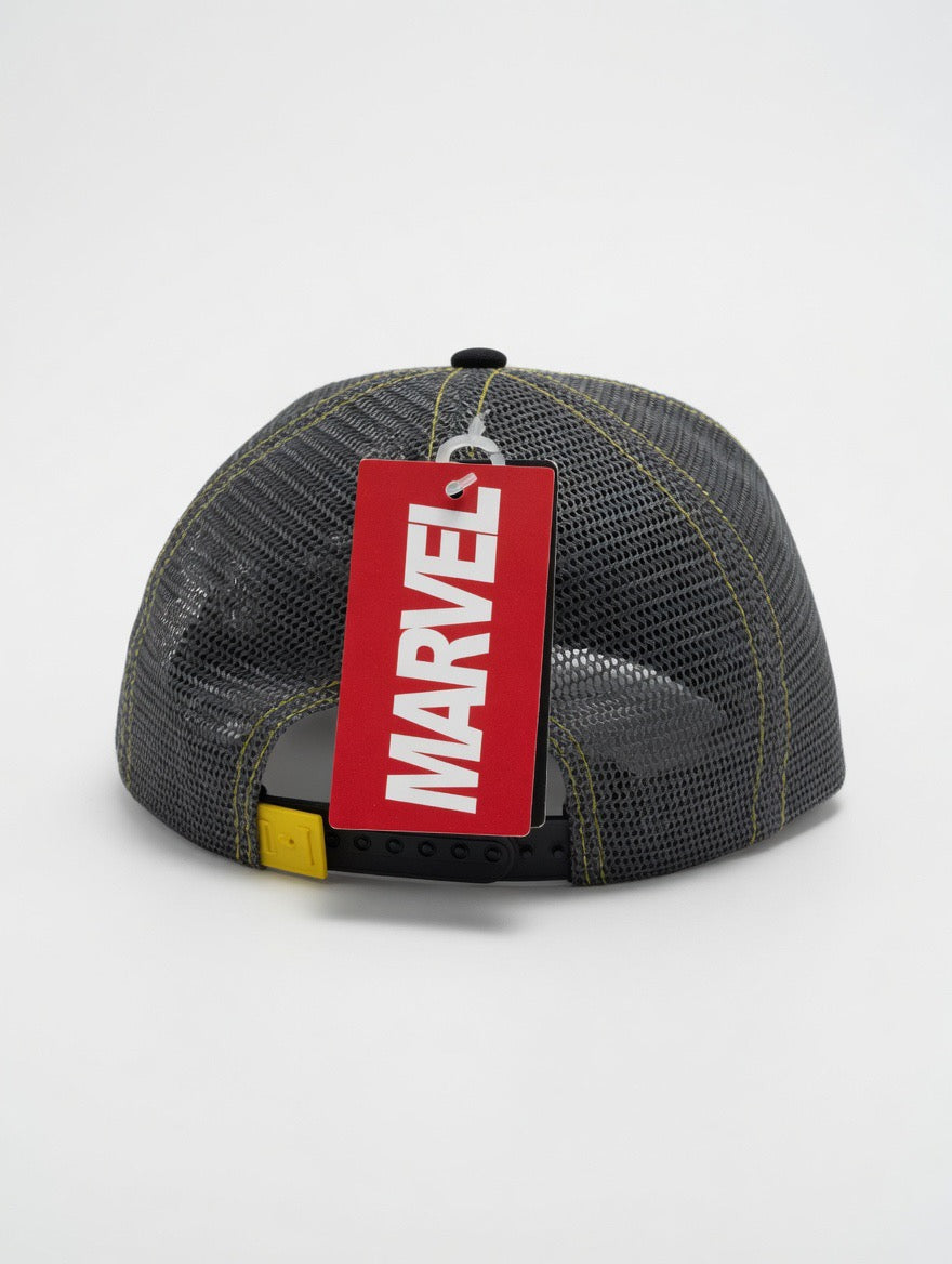 Batman Trucker Cap – DC Snapback Hat